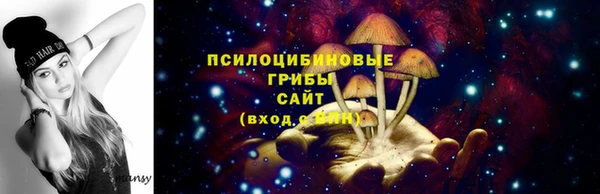 крисы Аркадак