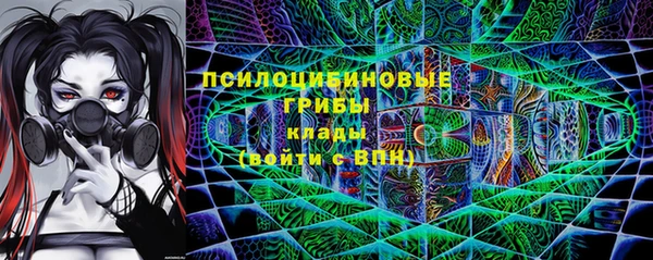 крисы Аркадак