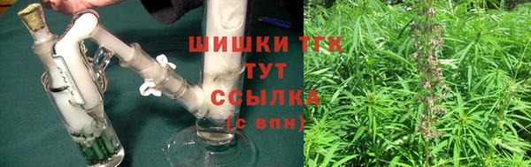 крисы Аркадак
