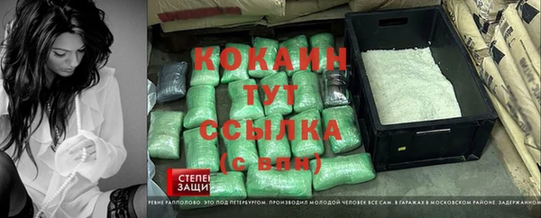 крисы Аркадак