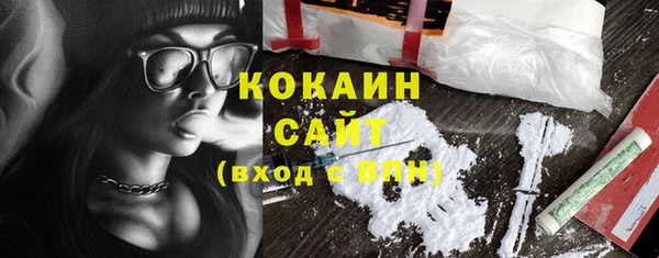 крисы Аркадак