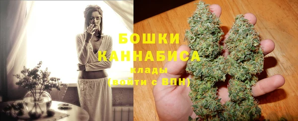 сатива Армянск
