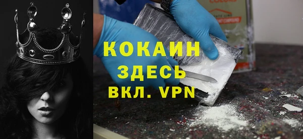 крисы Аркадак