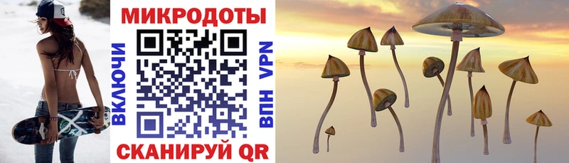 Псилоцибиновые грибы ЛСД  Михайловка 